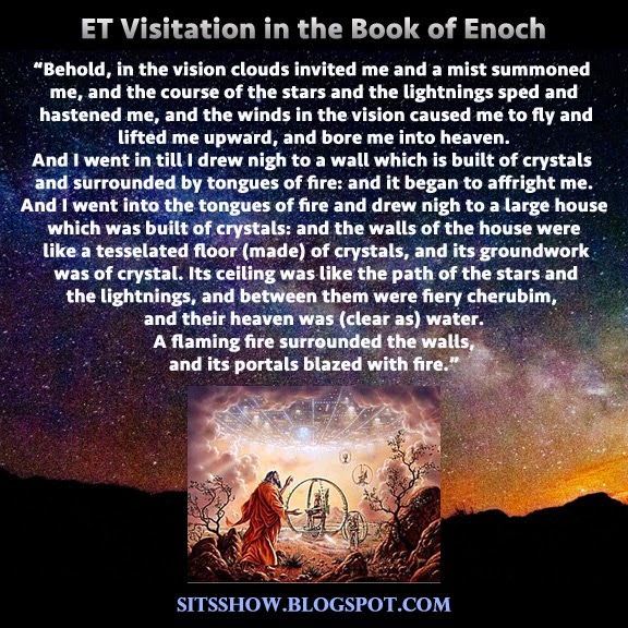 animal spirits princeton