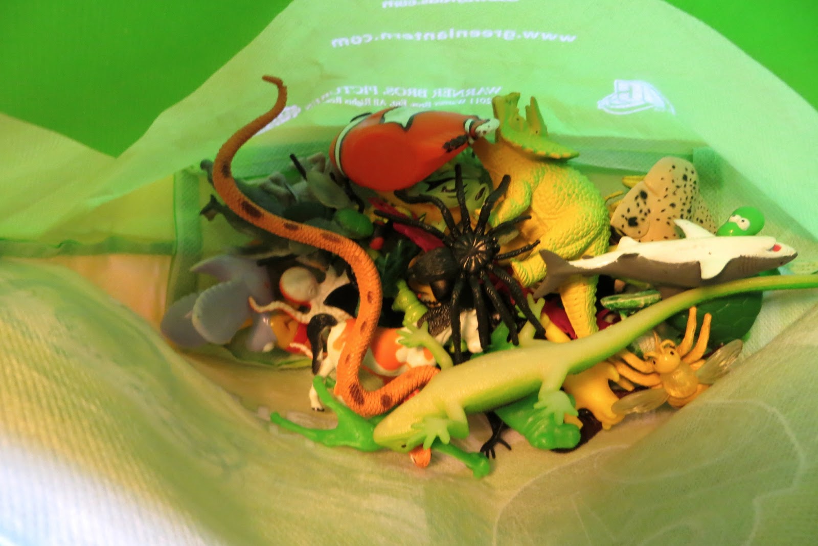 Ms. Sara's Preschool Blog: Eggs - Oviparous Animals