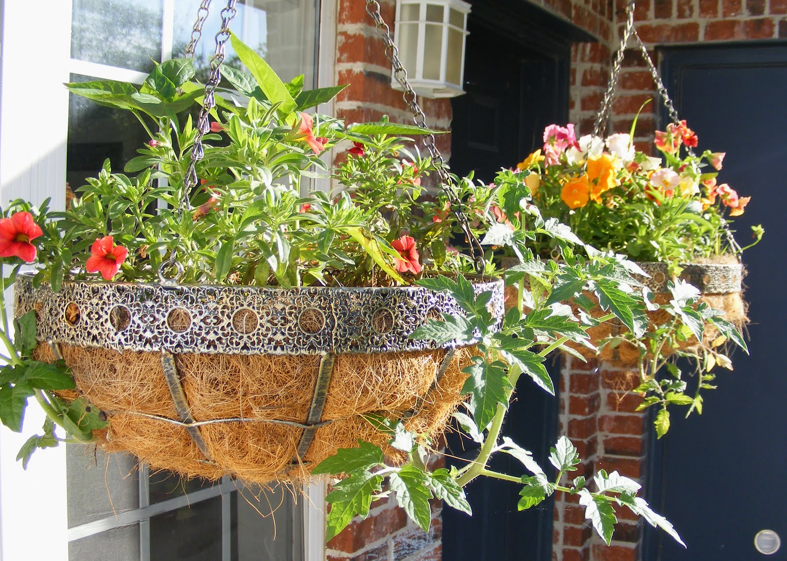 Everyday Art Hanging Garden