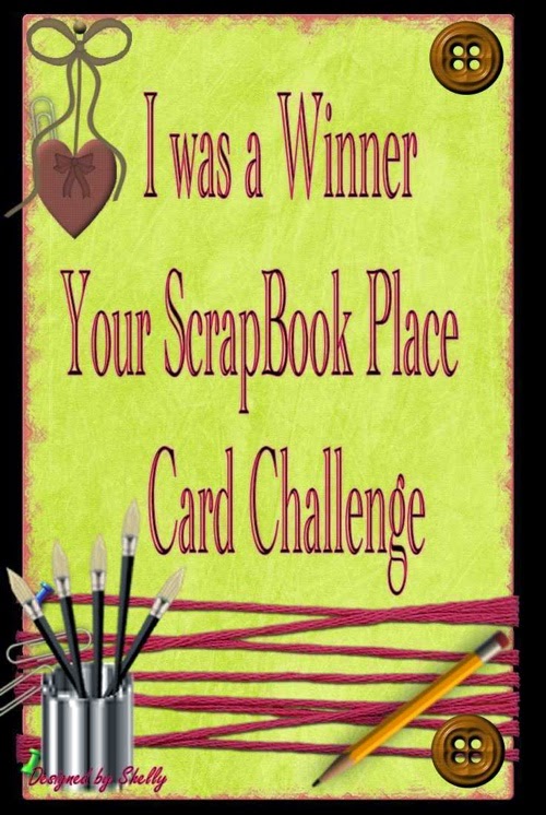 Your Scrapbook Place July Winner