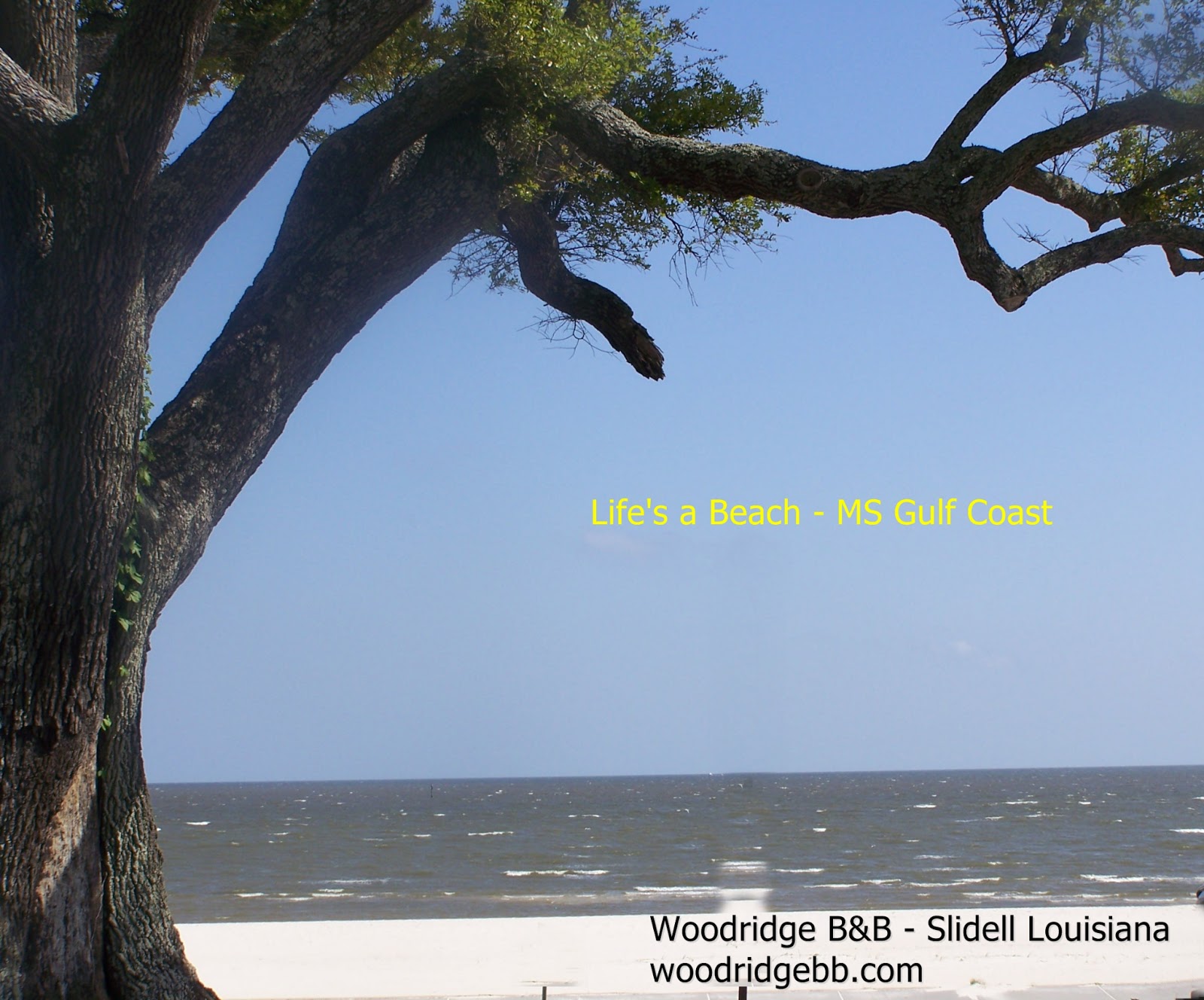 Woodridge Bed and Breakfast Slidell Louisiana Shootin