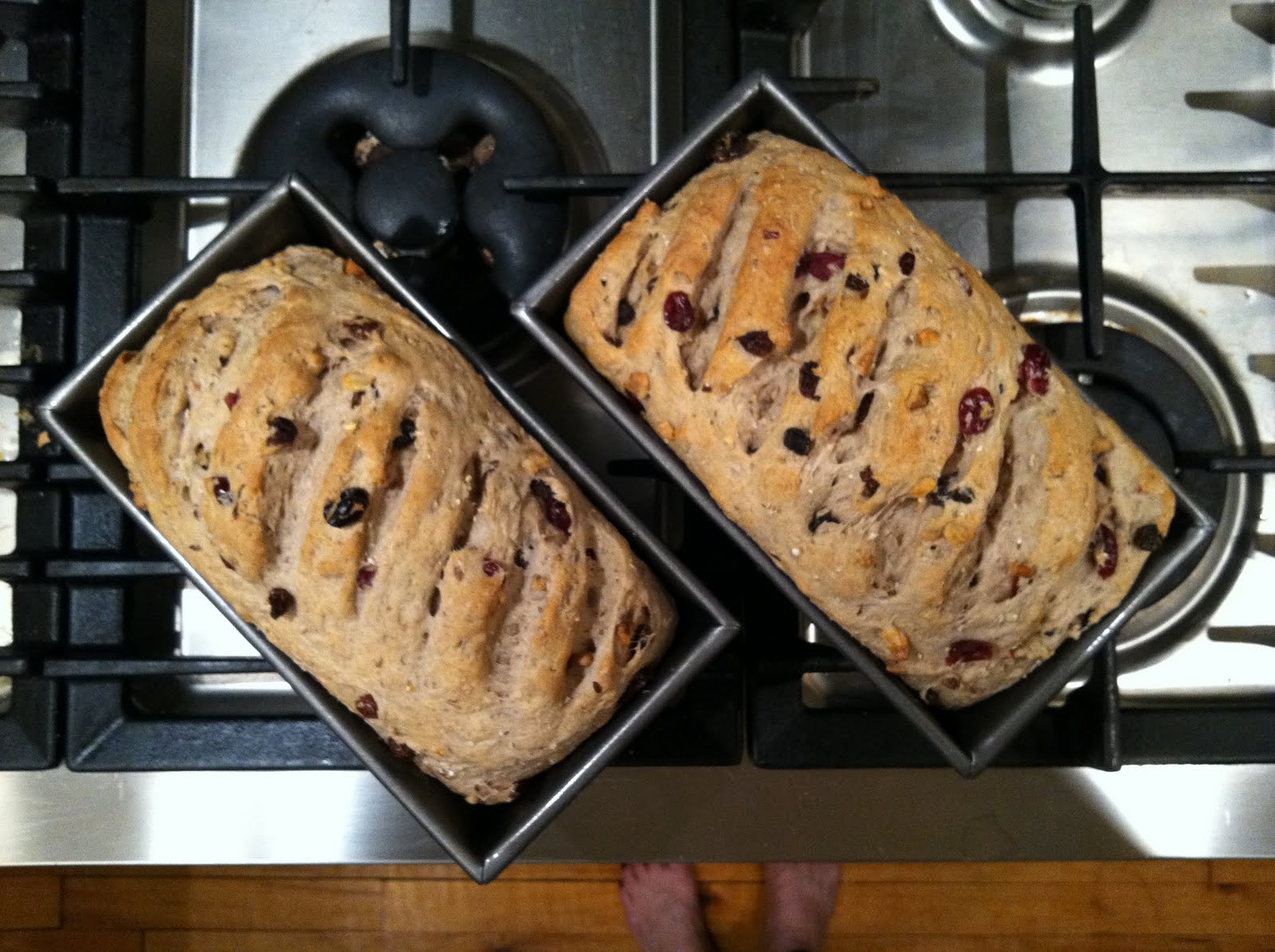 eat well & buy more art oatmeal cranberry walnut raisin bread