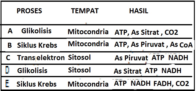 agungyaagunglah AYO BERLATIH BIOLOGI SIAPSIAP UN 2013