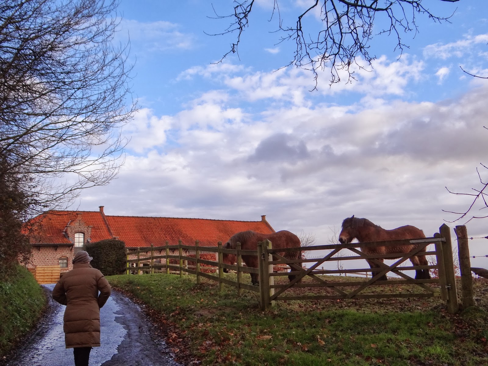 randonnee pedestre mont kemmel