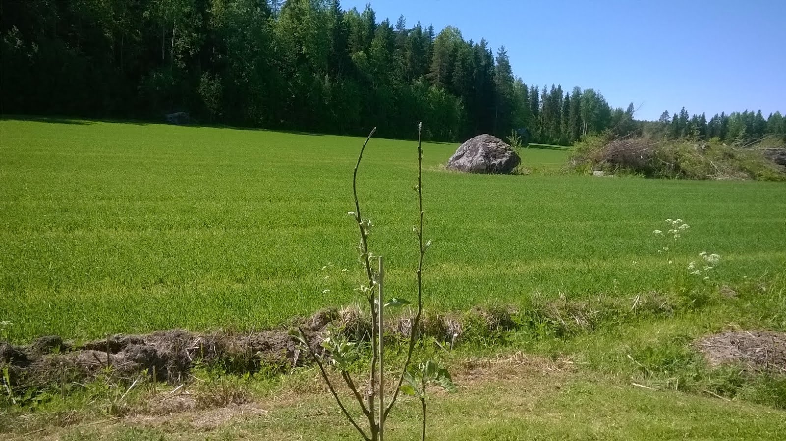 Milloin tilinpäätöksen pitää olla valmis