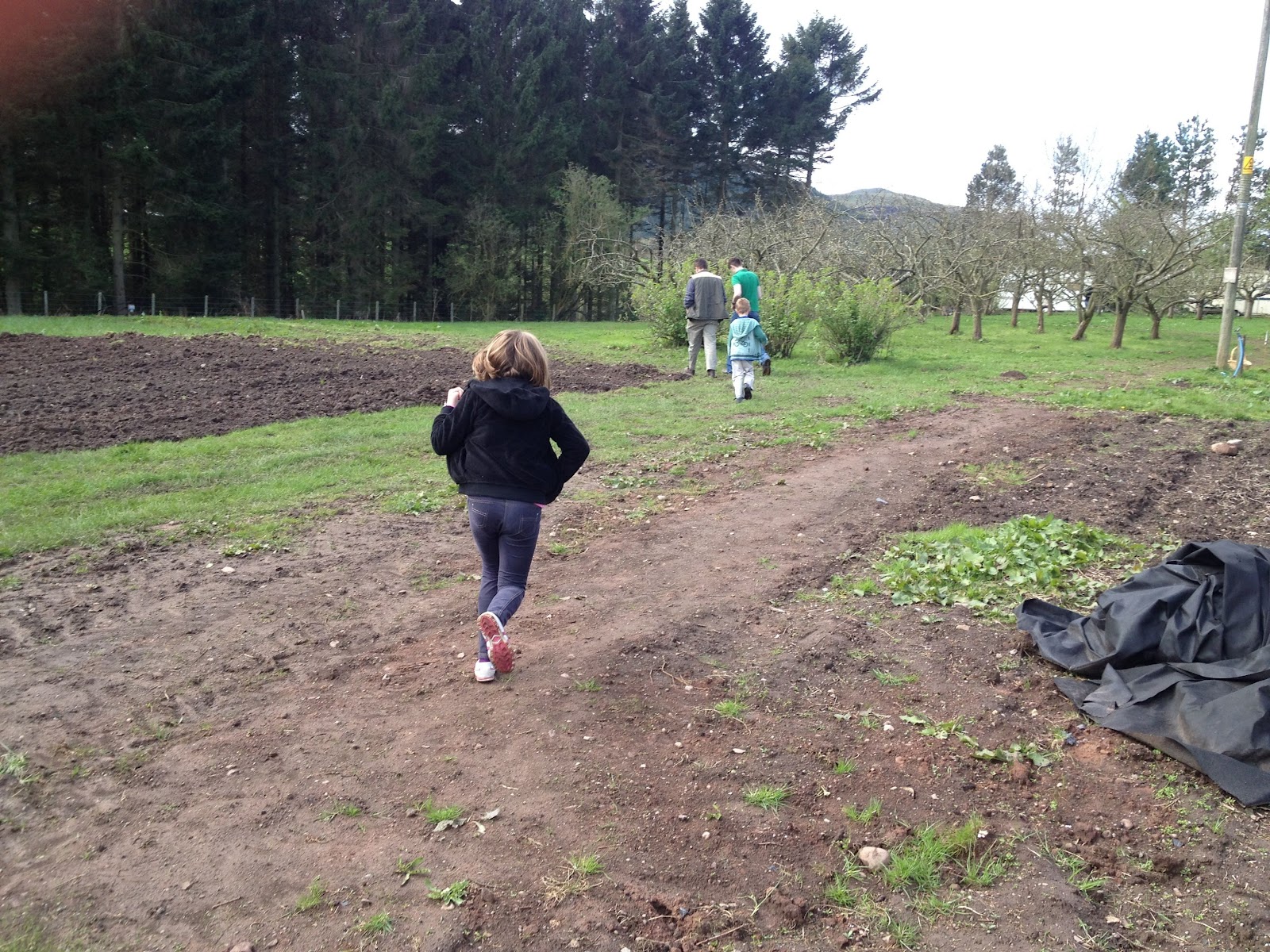 Made From Fife Pillars of Hercules, Falkland