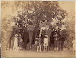 Four+Elephants+with+Western+Travellers+and+Attendants,+Jaipur,+India+-+1860s-70's