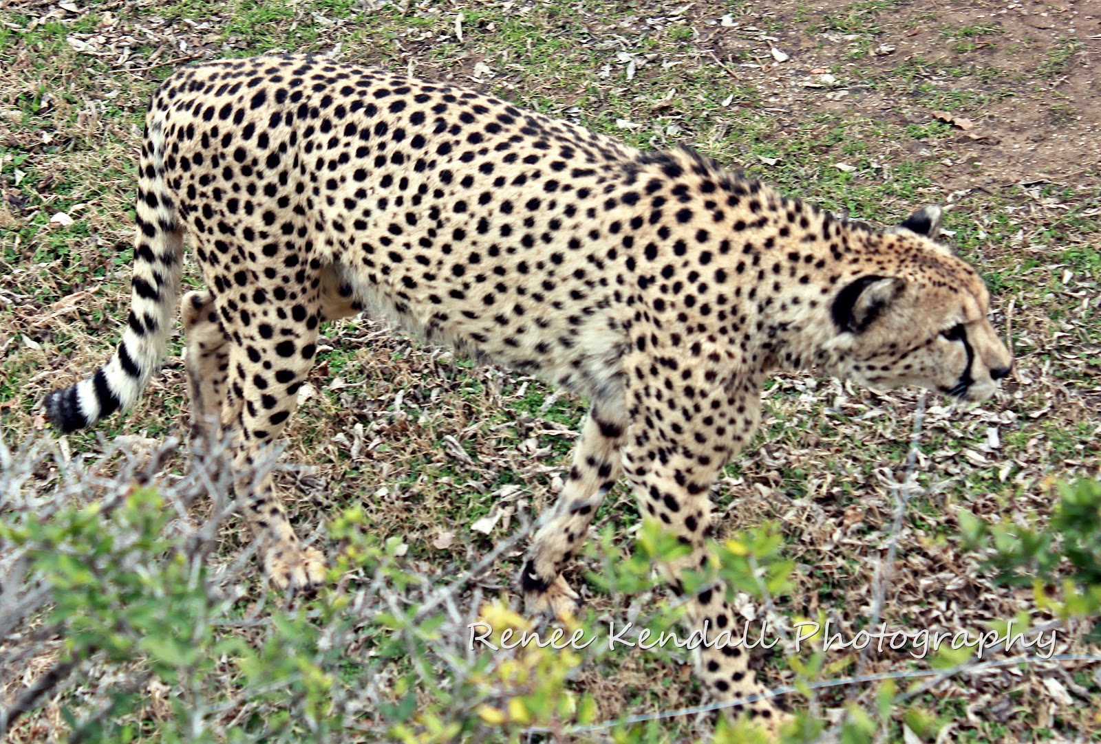 Photos From The Middle of Oklahoma Trip To The Tulsa Zoo