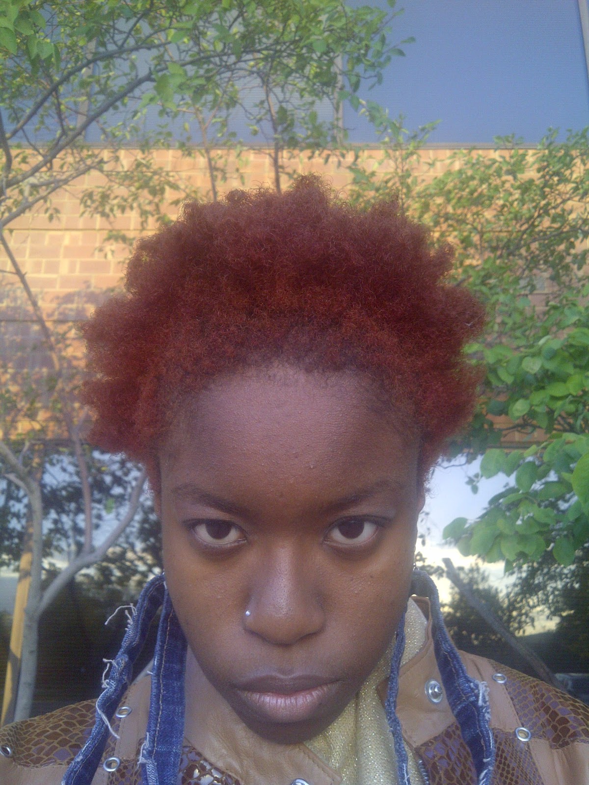 Shaybeautie Afro Head Twist Out