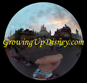  Cinderella Castle Rear Spherical photo