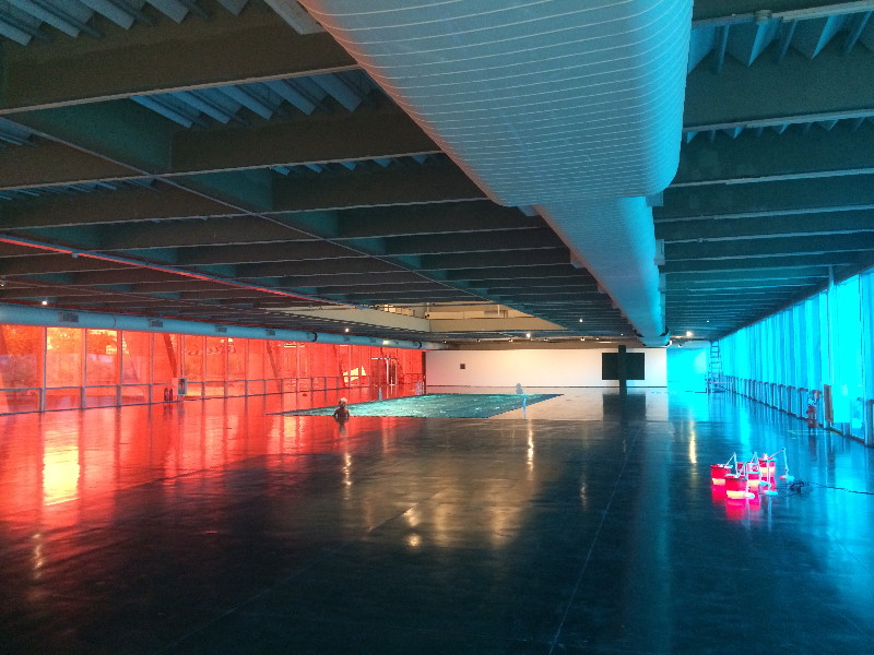 Fish With Braids Gallery March 2013