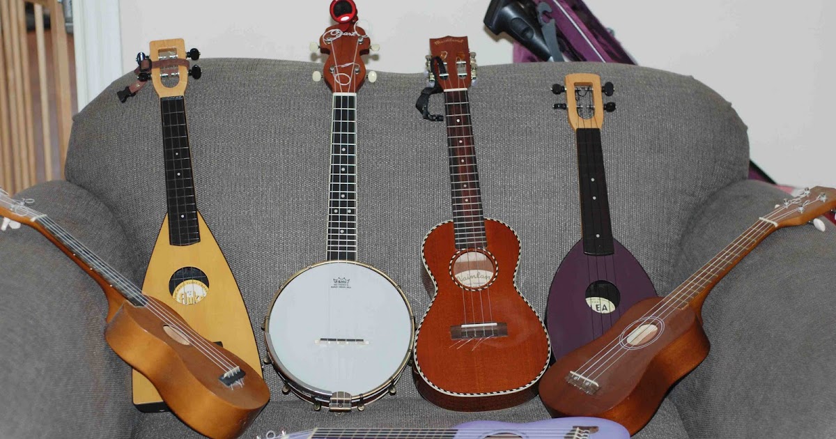 Ukulele family