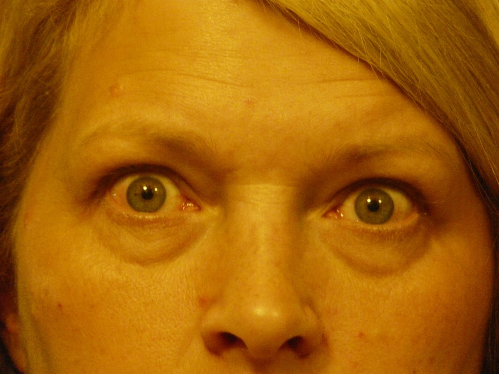 The "Secret" is Gratitude Official Human Diagnosis Horsehair