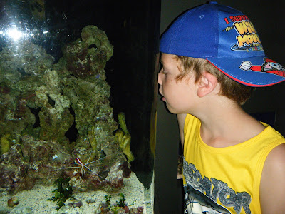 Waikiki Aquarium