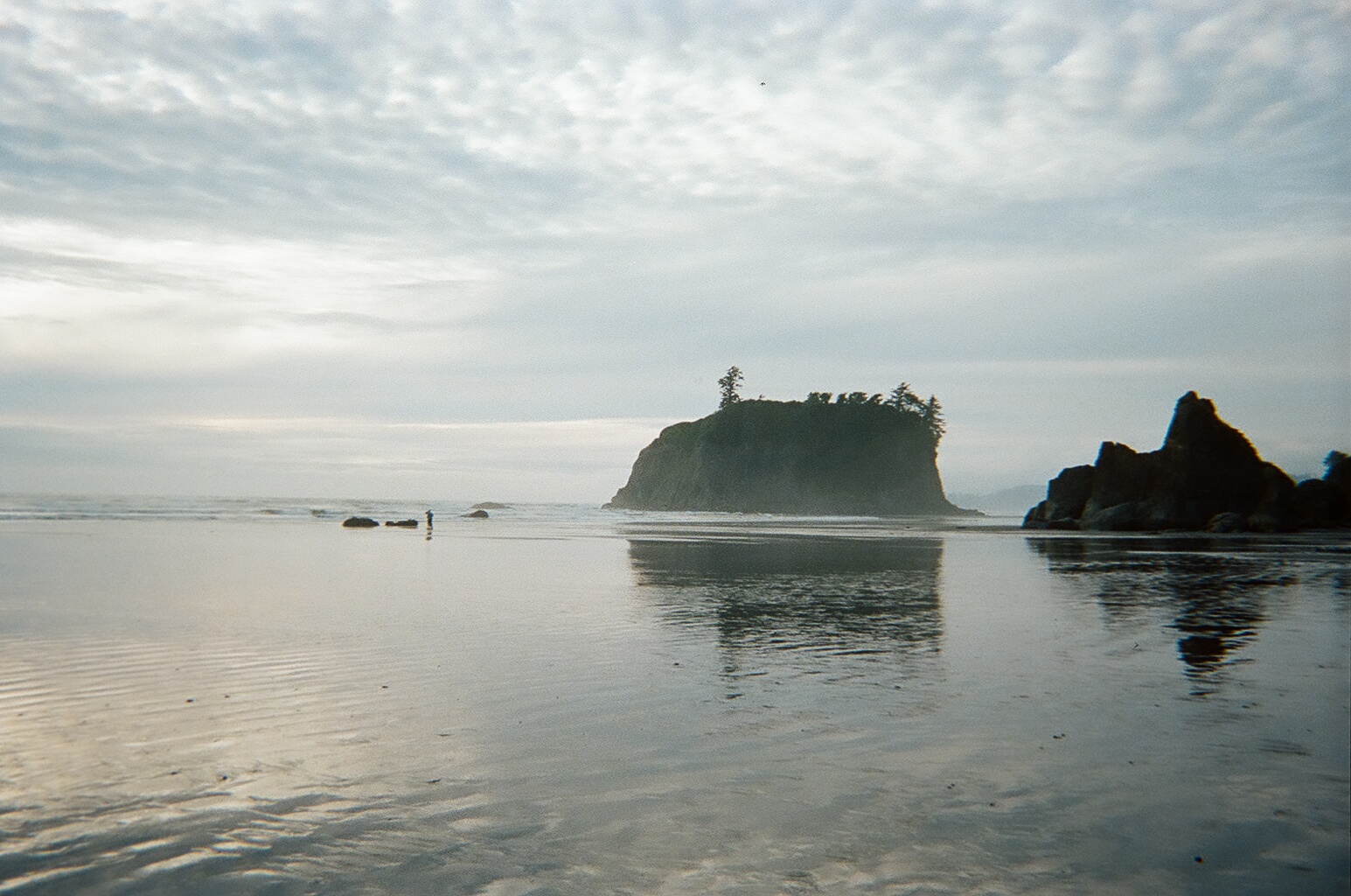 This Is Just To Say... definition sea stack
