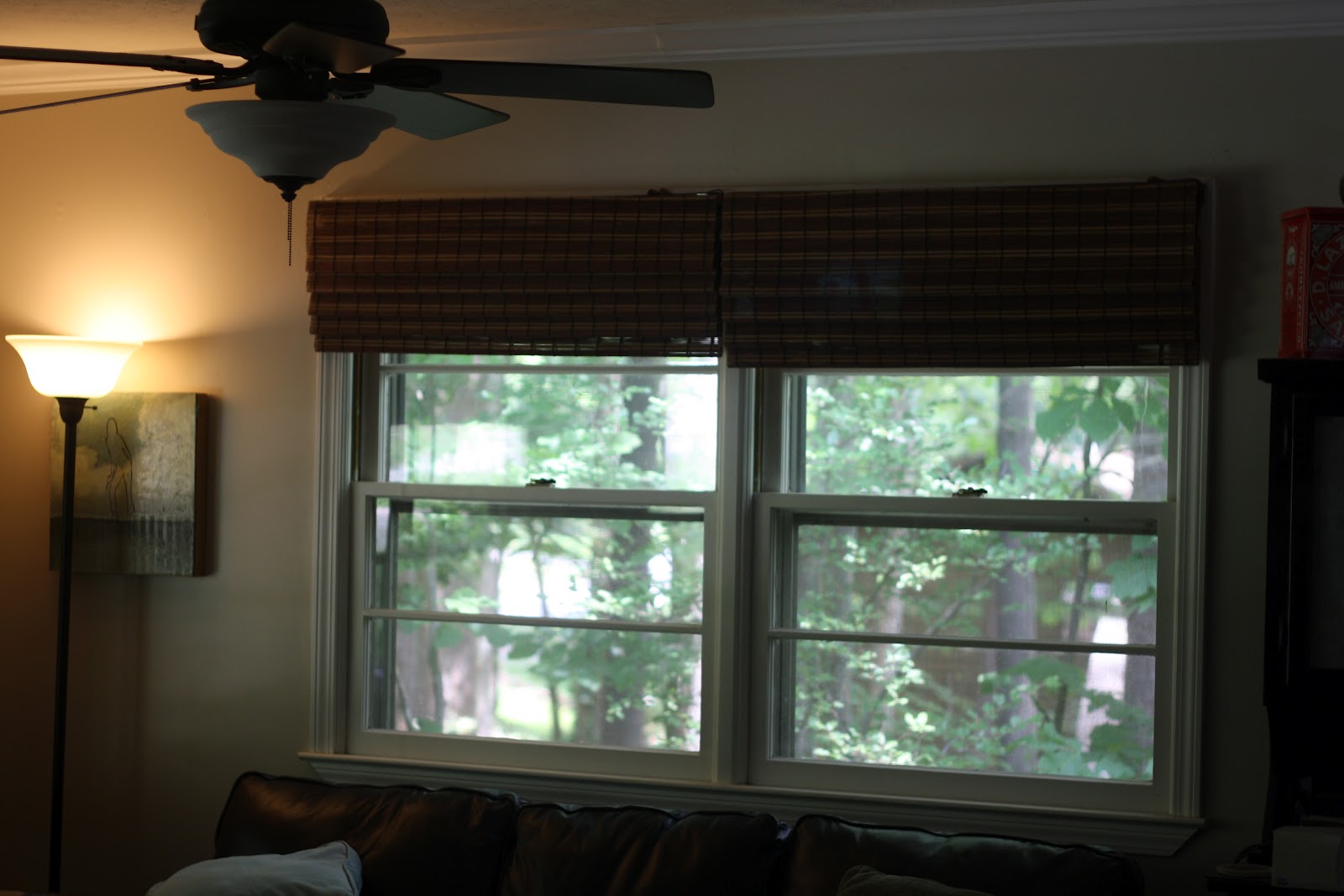 Bird And A Tree Raising The Roof Or The Window Coverings