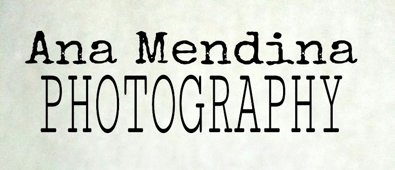 Ana Mendina Photography 