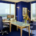 Top Wall Paint Colors for Office