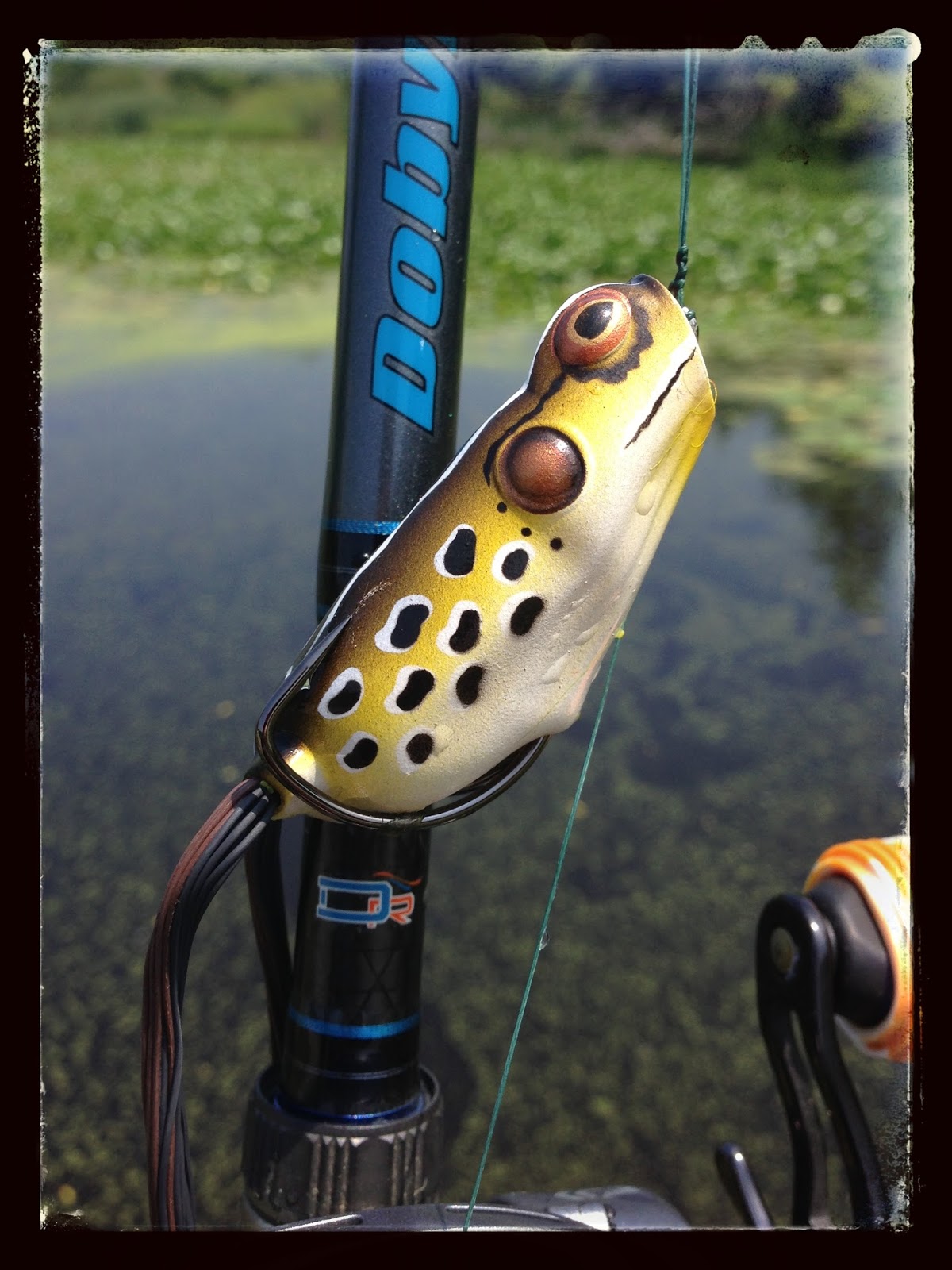 Bass Junkies Frog Pond: Booyah Poppin Pad Crasher Review