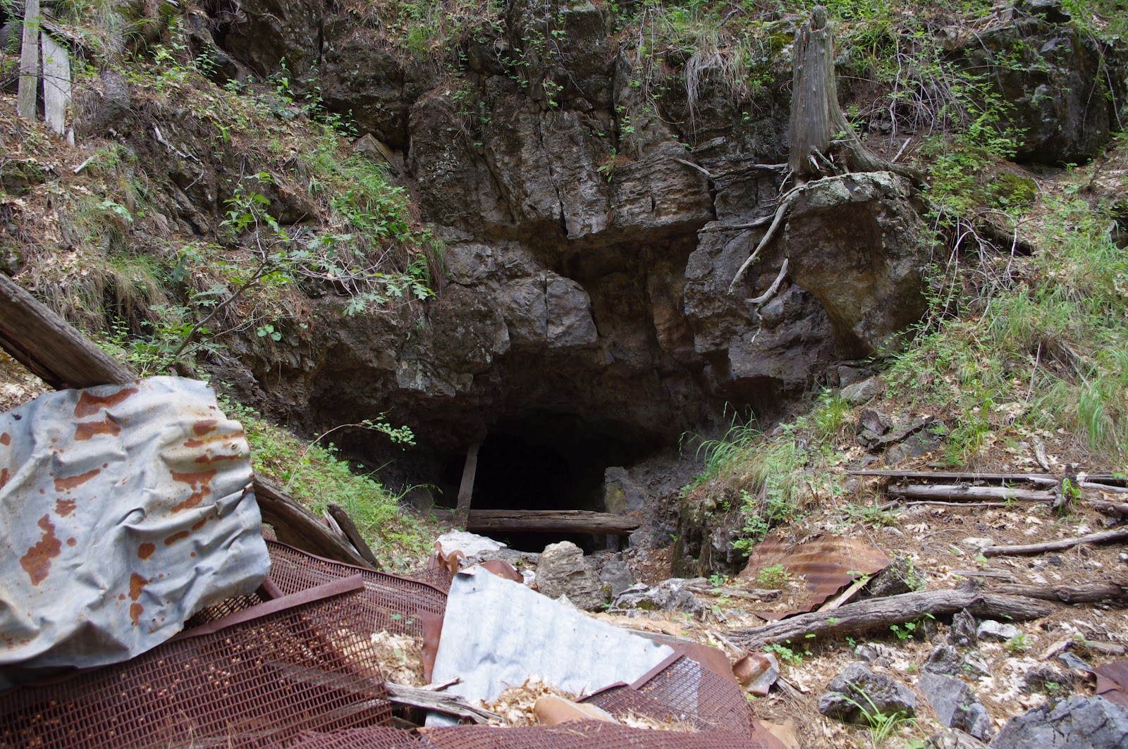 Southern New Mexico Explorer Iron Creek Road( Black Range)Gila