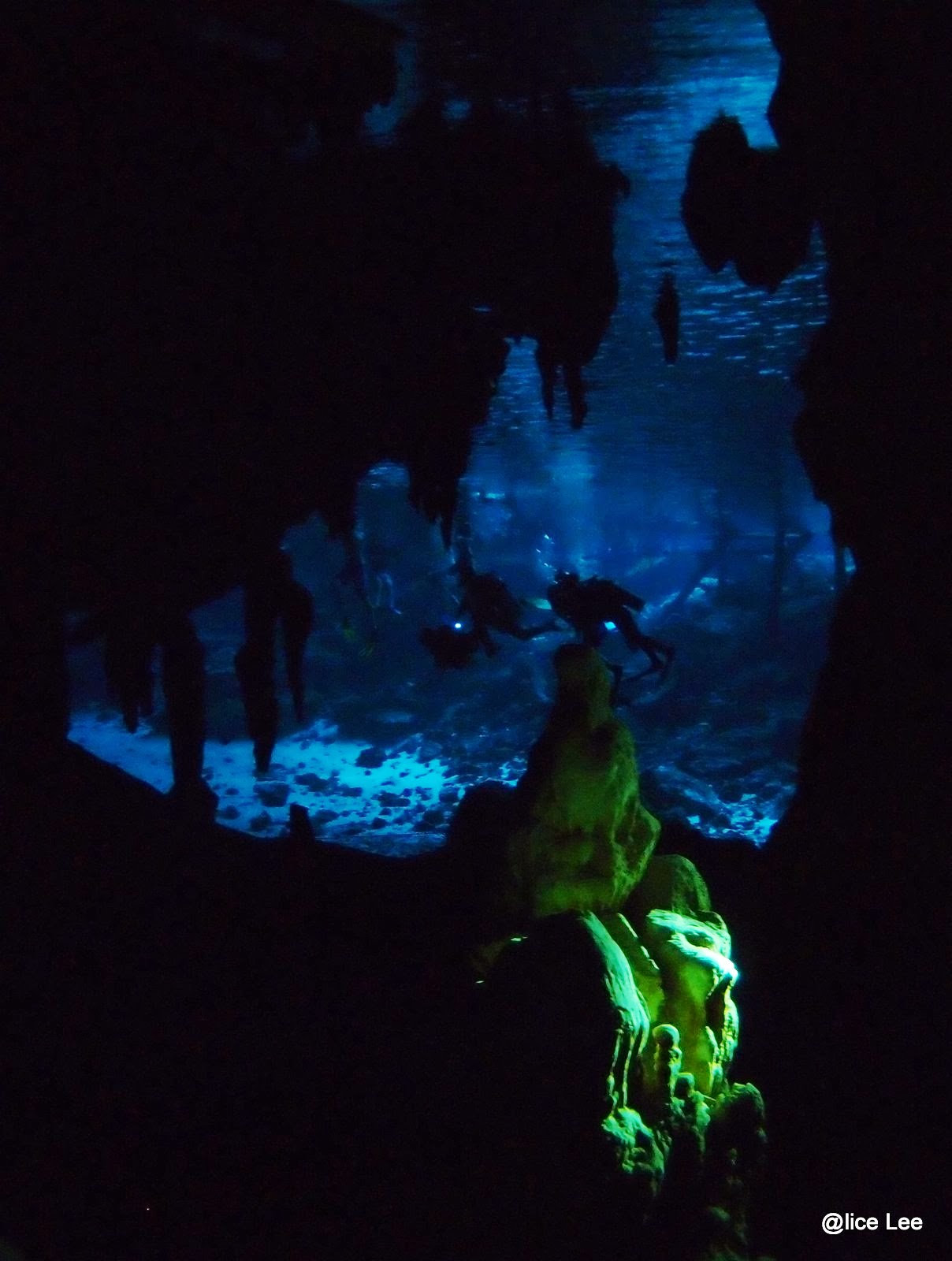 Where I Dive Cenote Dos Ojos & Bat Cave, Mexico