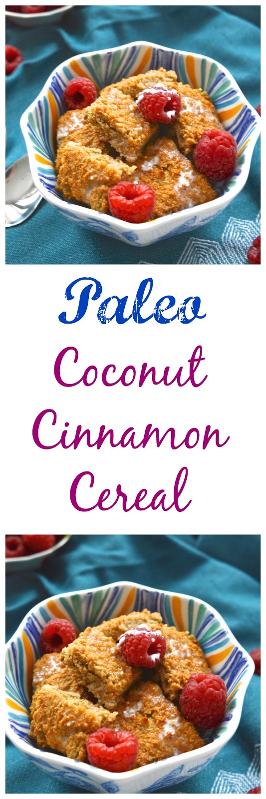 Pure and Simple Nourishment Coconut Cinnamon Cereal and Paleo Eats