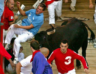 bull fighting photos
