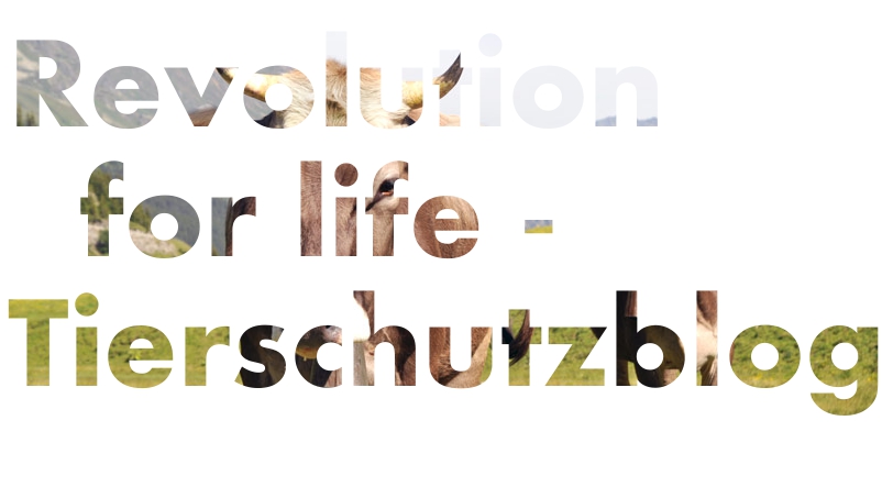 revolution for lifes - tierschutzblog
