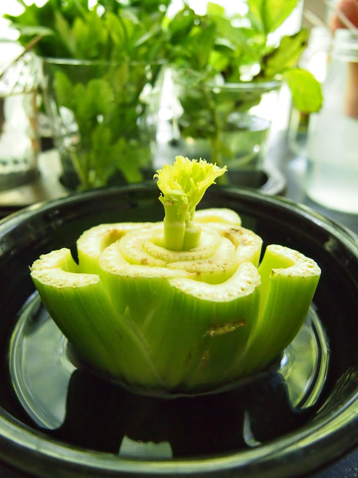 The Tiny Funnel Grow Something!