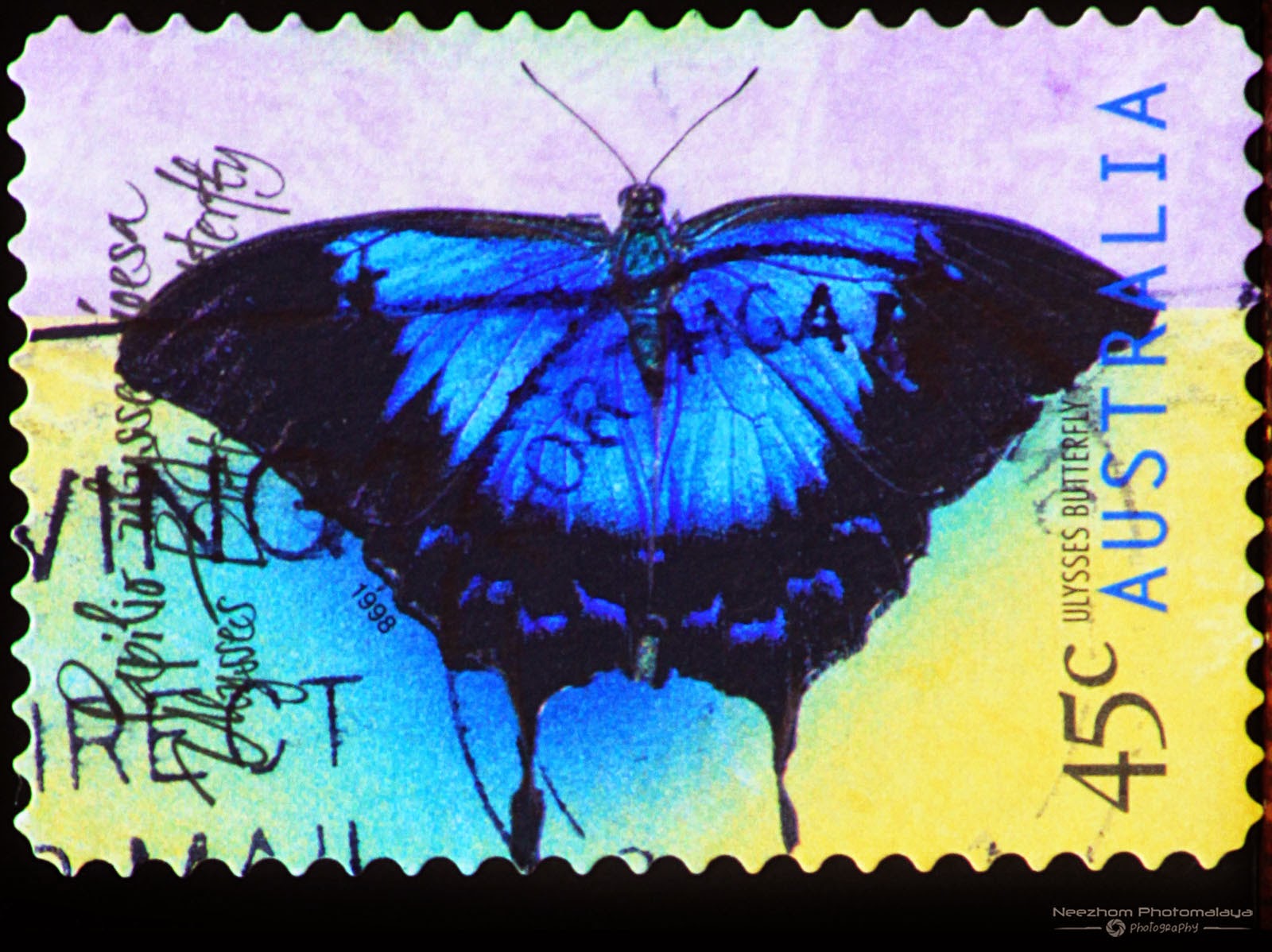 Australia 1998 Butterflies stamps Stamps Gallery