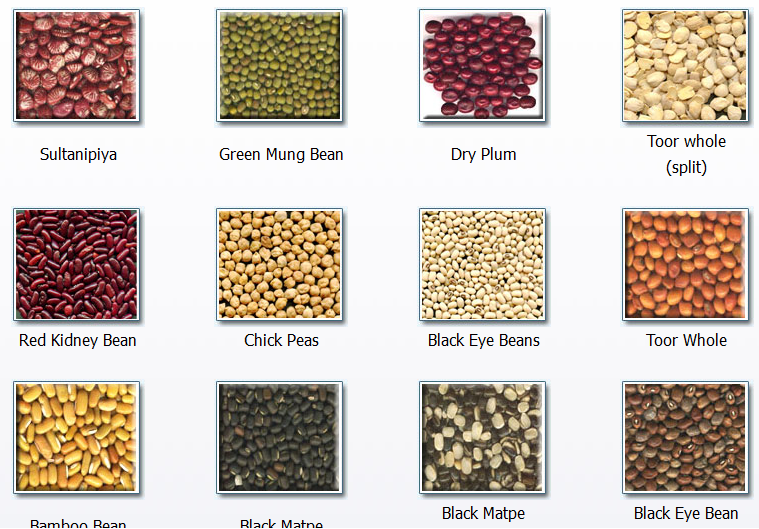 international year of pulses 2016 international year of pulses blogger