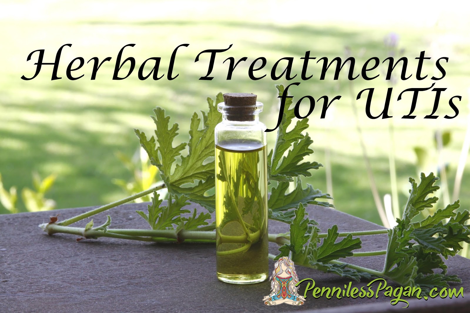 Penniless Pagan Herbal and Natural Treatments for UTIs