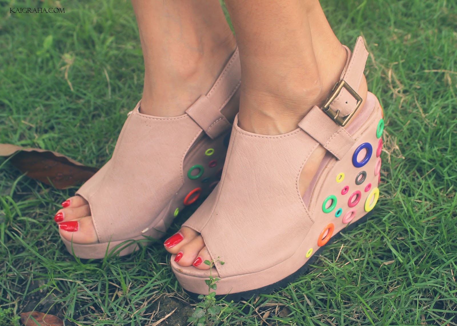 Colorful wedges 