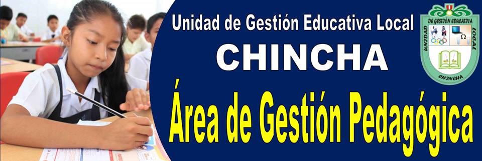 UNIDAD DE GESTION EDUCATIVA LOCAL CHINCHA
