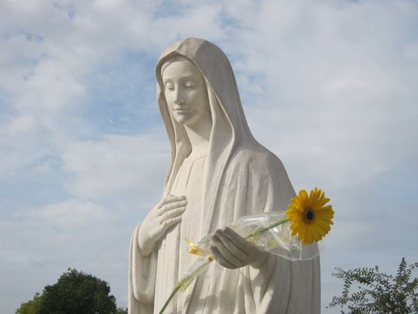 Risultati immagini per regina della pace medjugorje