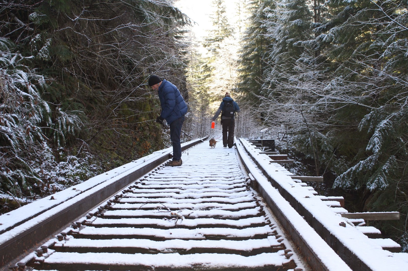 .Hike Mondays. WOLF CREEK TRESTLE HIKE Salmonberry River and the like
