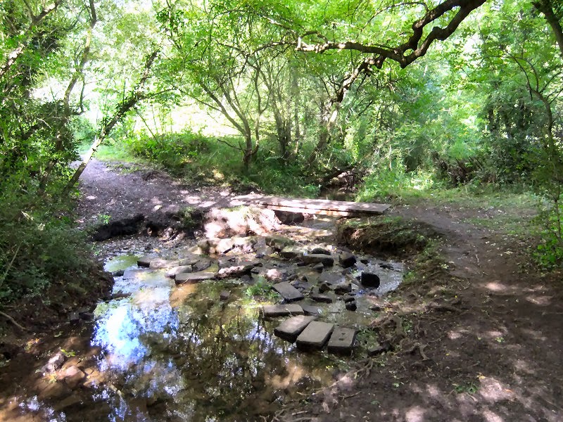Photographs Of Newcastle Blaydon Burn