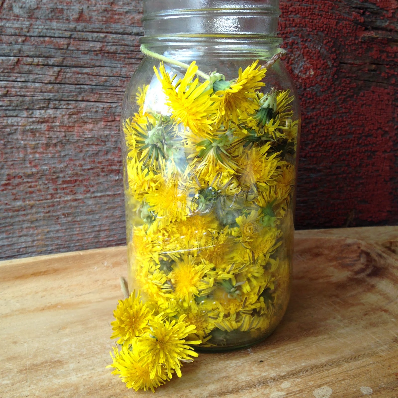 Dandelion Vinegar Turnips 2 Tangerines