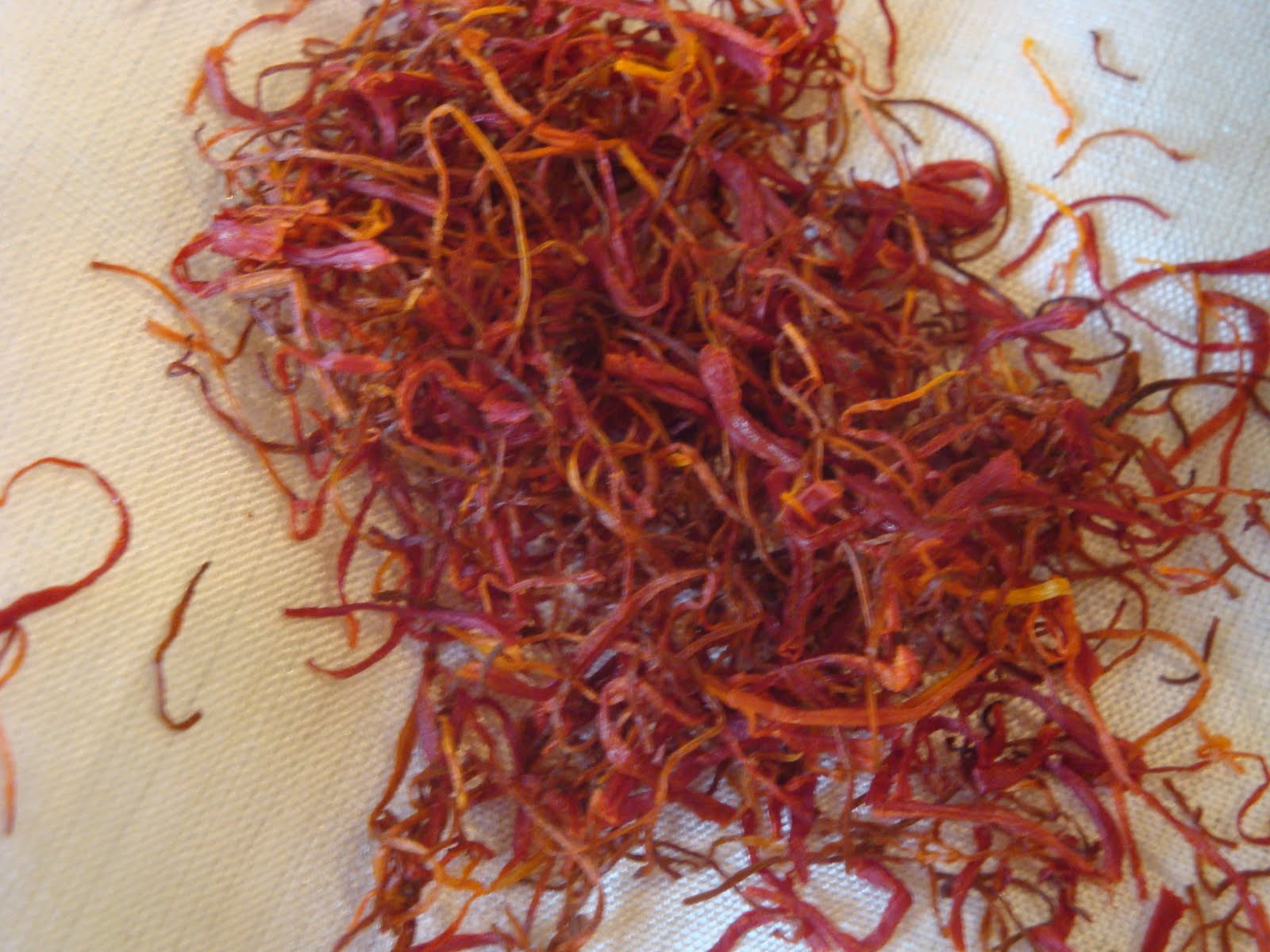 Entertaining From an Ethnic Indian Kitchen Saffron The Spice of Gold