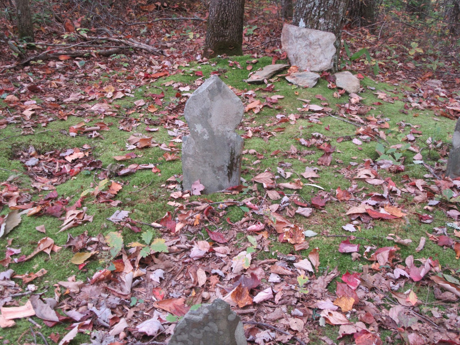 Smoky Mountain Cemetery Creeping Moore Cemetery