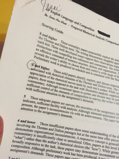 Descriptive essay example image