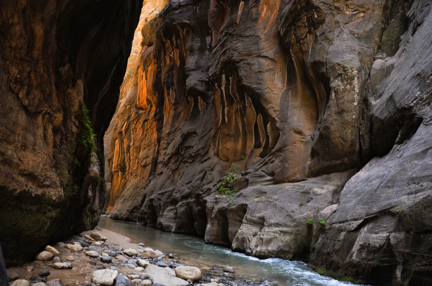 Zion Narrows