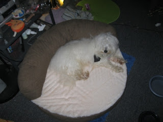 Wally is curious, but is staying on his bed.