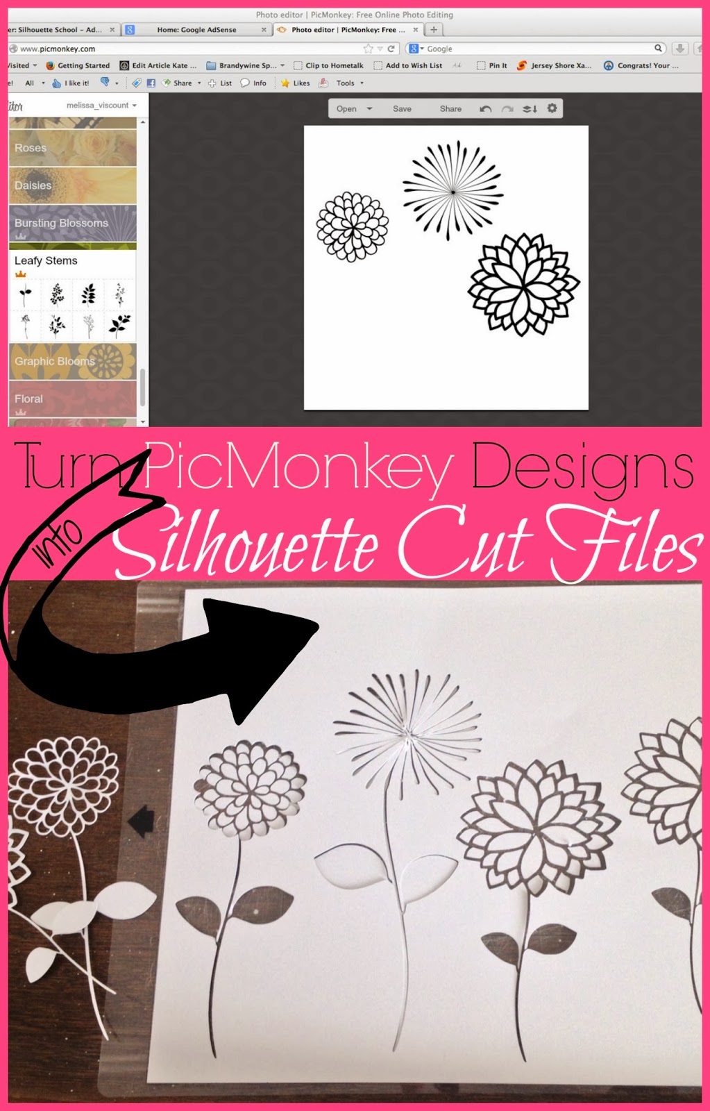 pink monkey editing