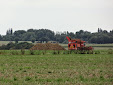 Sugar beet harvest: Ropa Tiger VS Holmer Terra Dos T3