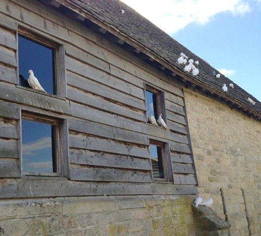 Wedding Catering At Brockworth Court Tithe Barn Gloucestershire