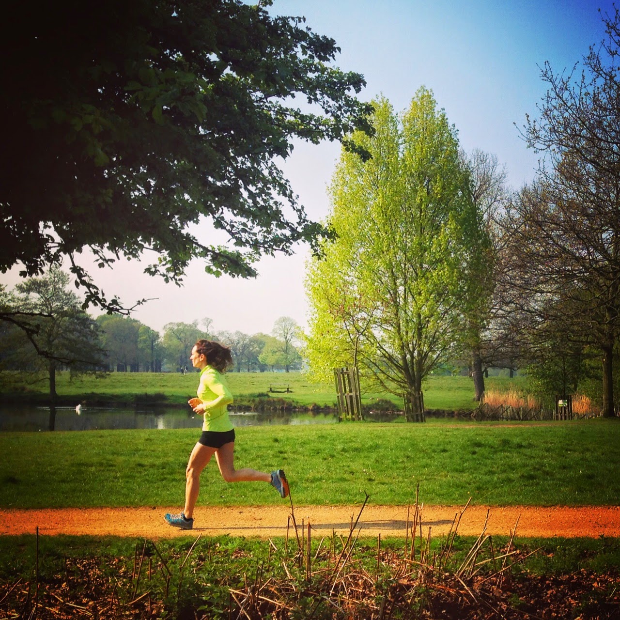 EVIE COTRULIA Rock Climbing and Route Setting Training for Climbing