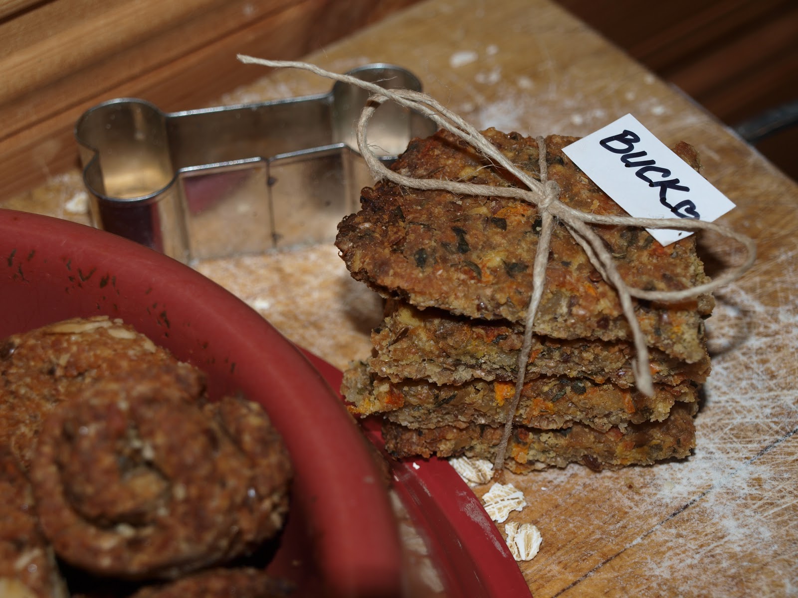 Katerina's Journal Raisins And Chocolate Are Poisonous For Dogs