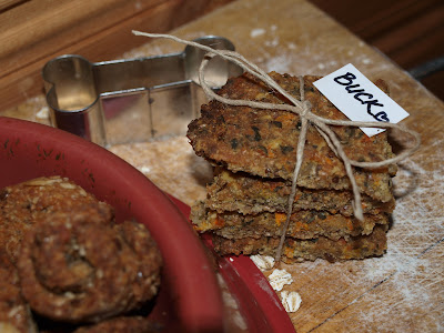 Katerina's Journal: Healthy Holistic Home Made Christmas Dog Cookies