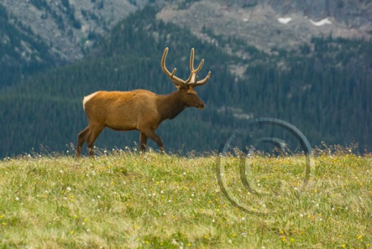 Funny Pictures Gallery: 06/18/12